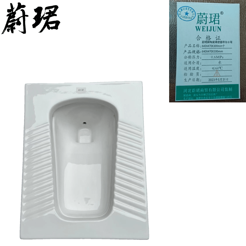 蔚珺牌陶瓷蹲便器带存水弯640X470X300mm个