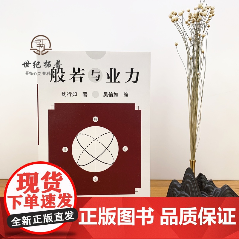 正版 般若与业力/沈行如/吴信如/唐密东密/顾净缘/佛教书籍佛学书籍佛学经典般若经典佛教图书佛学研究佛法书籍高清大图