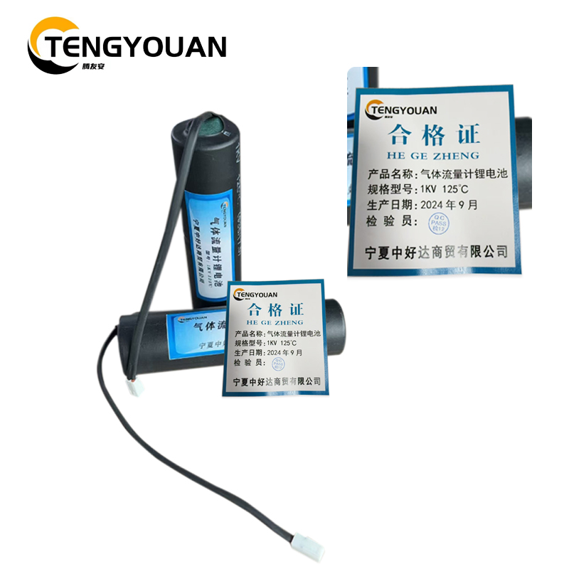 腾友安 气体流量计锂电池 1KV 125℃ 个(1KV)高清大图