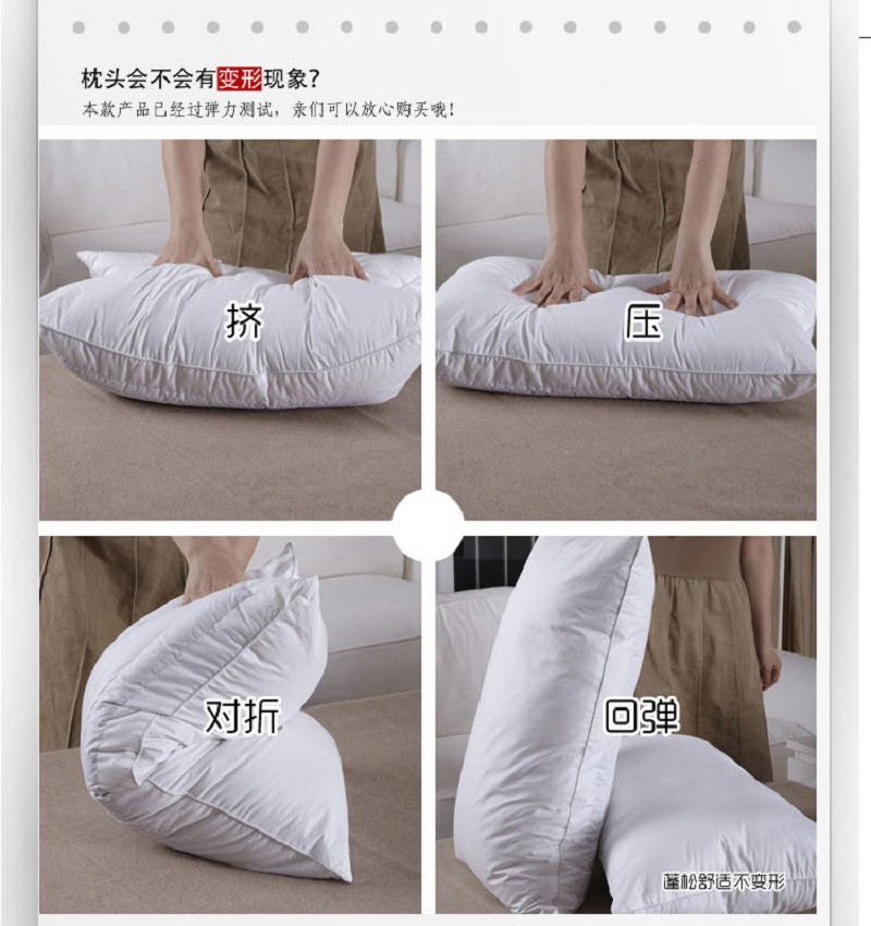 荞麦枕芯 枕芯 48*74cm 个高清大图