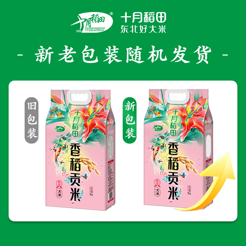 十月稻田 东北大米 香稻贡米5kg高清大图