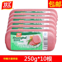 双汇(Shuanghui)特嫩方腿香肠250gx10根午餐肉火腿肠手抓饼切片火锅餐饮配餐