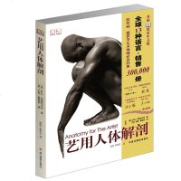 艺用人体解剖 英国DK公司授权/素描大师临摹人物速写/绘画美术艺考教程完全指南实用教学 理解人体形态结构书籍ZJSY