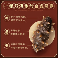 苏鲜生12小时干海参 12-20头以内/30g