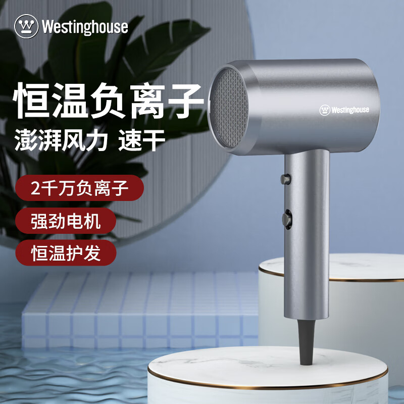 西屋(WESTINGHOUSE) 负离子电吹风机H107灰色高清大图