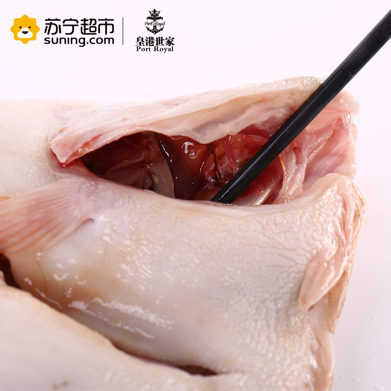 [活杀]皇港世家 活鲜水产 多宝鱼500g