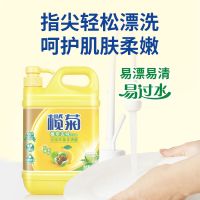 榄菊洗洁精1.125kg柠檬茶籽食品级 温和不伤手果蔬可用