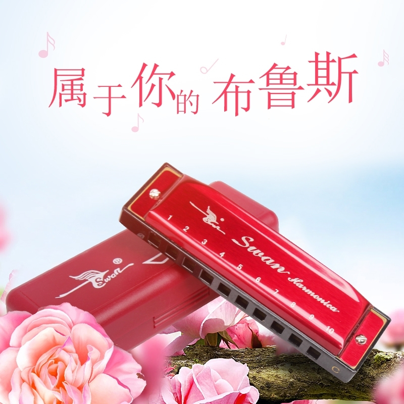 天鹅(Tian E)10孔布鲁斯口琴C调儿童初学者成人蓝调十孔入门口琴乐器其他