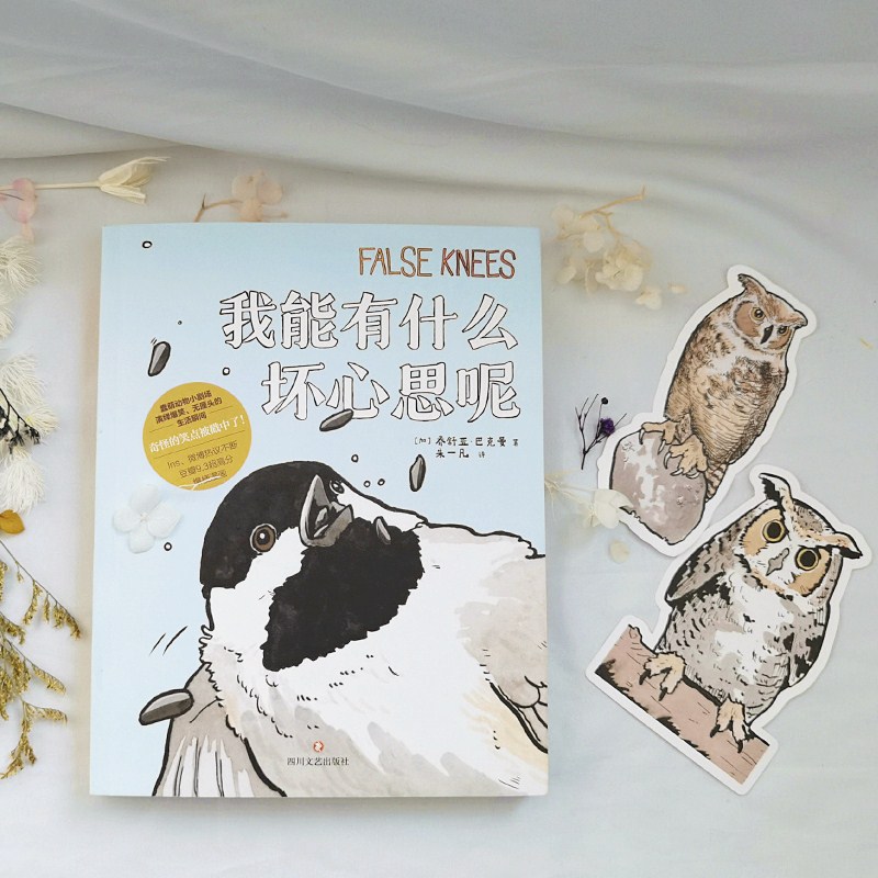 [正版]赠书签*2+贴纸我能有什么坏心思呢 去码头整点薯条乔舒亚·巴克曼漫画绘本小动物蠢萌搞笑幽默坏心思日常看漫画实体高清大图