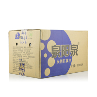 泉阳泉天然矿泉水600ml*24瓶 长白山天泉弱碱性饮用水 真正矿泉水 整箱