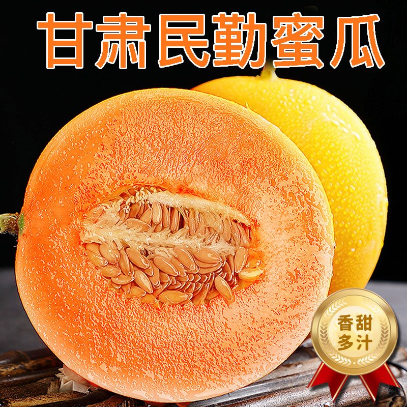[西沛生鲜] 甘肃民勤蜜瓜 净重4.5-5斤 1-2个装香甜可口 新鲜水果应季金红宝国产 甜瓜