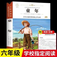 童年 童年高尔基正版小英雄雨来六年级必读爱的教育小学生课外阅读书籍