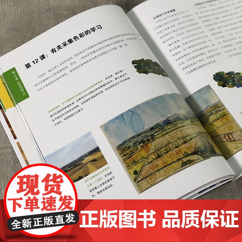 30天学会色彩 丙烯油画水彩上色规律27个色彩运用技巧基础色彩理论混色原理配色组合运用技巧基础入门技法教学 风景色彩基础高清大图