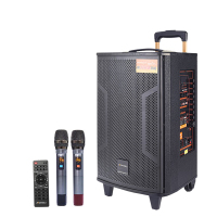 山水(SANSUI) SA5-10广场舞音响户外拉杆大功率便携式移动蓝牙音箱直播K歌会议重低音带双无线话筒麦克风