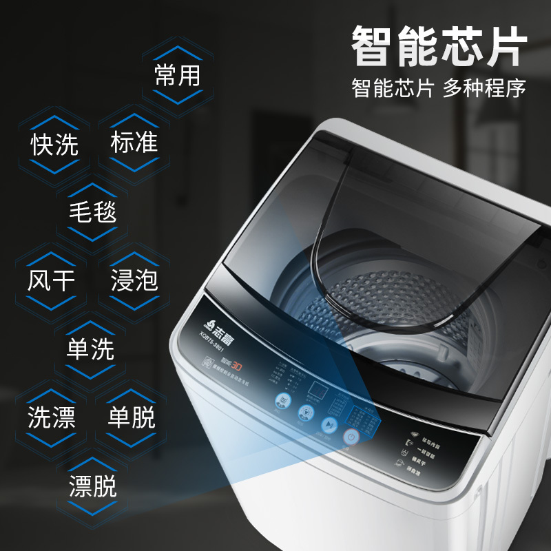 志高 6公斤 洗脱一体机 除菌