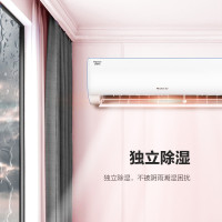 格力(GREE)空调KFR-26GW/NhBb3Bj 京逸Ⅱ系列 新三级能效1匹变频自清洁快速冷暖 壁挂式冷暖空调