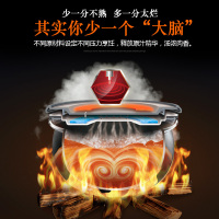 苏泊尔（SUPOR）电压力锅 CYSB50FC89A 5L/升 大容量球釜用途锅双胆电高压力锅压力饭煲压力饭锅