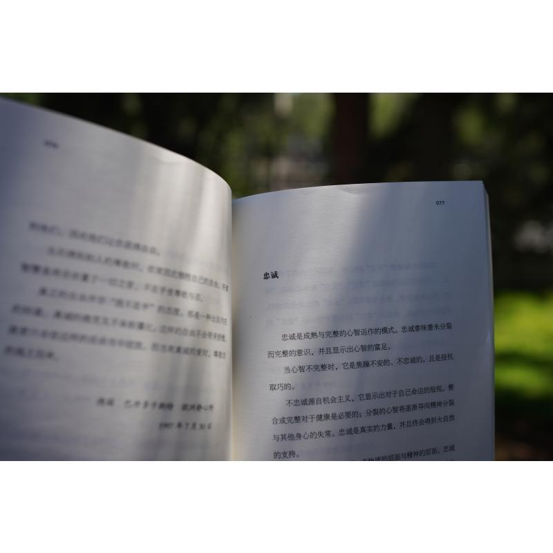醉染图书庆祝宁静9787516917848高清大图