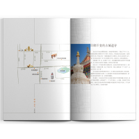 [正版]遇见西安这座城 藏羚羊旅行指南编辑部 国内城市自助旅游指南攻略书 小资生活旅游宝典 旅游文化读物北京出版社