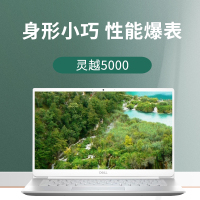 戴尔DELL 灵越5000 fit Ins 14-5498-R2625S 14英寸高性能轻薄窄边框笔记本电脑【十代i5-10210U 8G 1TBSSD MX250 2G独显】银