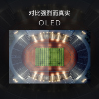 索尼（SONY）55英寸 OLED KD-55A8F 安卓7.0 智能电视4K HDR （超薄黑色）