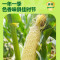 十月稻田鲜食白糯玉米1.56kg(260g*6)