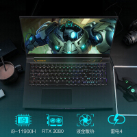 机械革命（MECHREVO）深海泰坦X10 Pro 17.3英寸游戏本笔记本电脑i9-11900H 32G 1T固态 RTX3080 16G独显 高色域165HZ 2K屏 预售