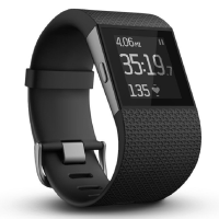 Fitbit Surge智能乐活全能运动手表 (S) FB501BKS-CN