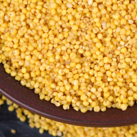 珍佰粮 黄小米1kg/袋 2斤袋装小米 五谷杂粮 内蒙古赤峰市农家小米