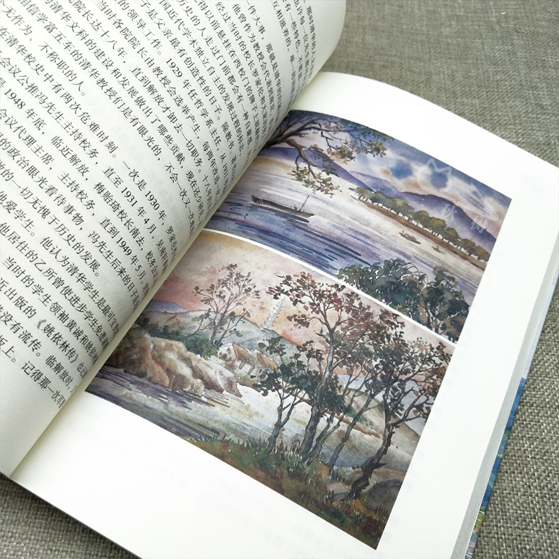 [正版]宗璞散文精选 宗璞散文集 宗璞的书现代当代文学书籍 含紫藤萝瀑布丁香结好一朵木槿花 长江文艺出版社高清大图