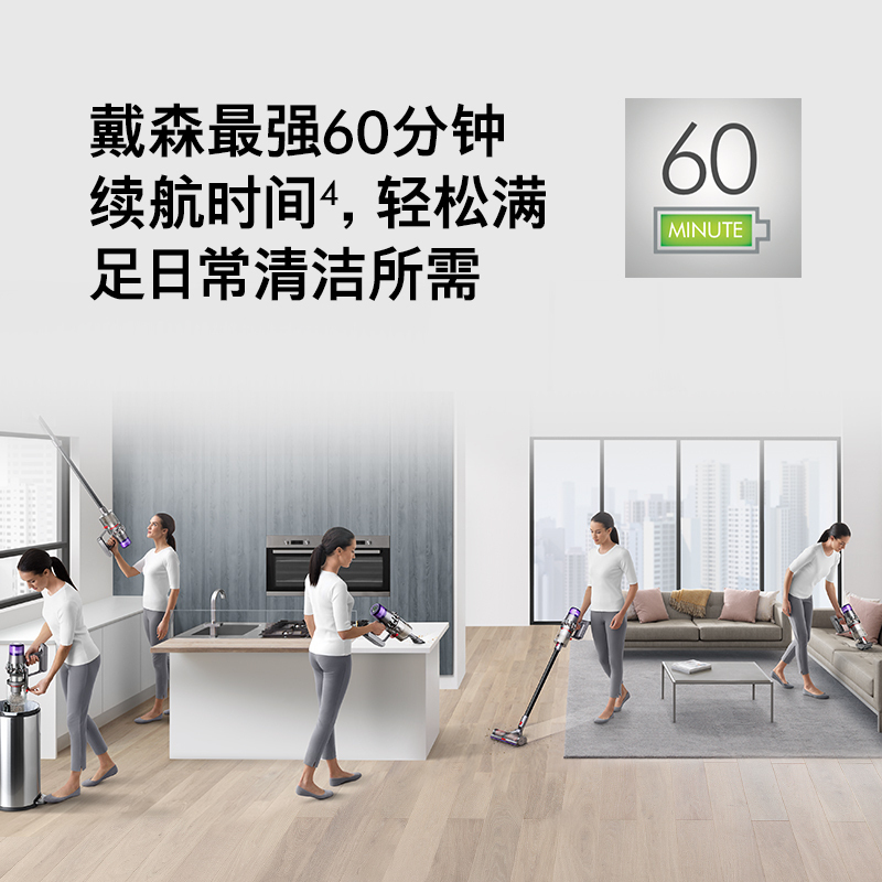 戴森(Dyson) 吸尘器 V11 Complete 黑色限量版 扫地机