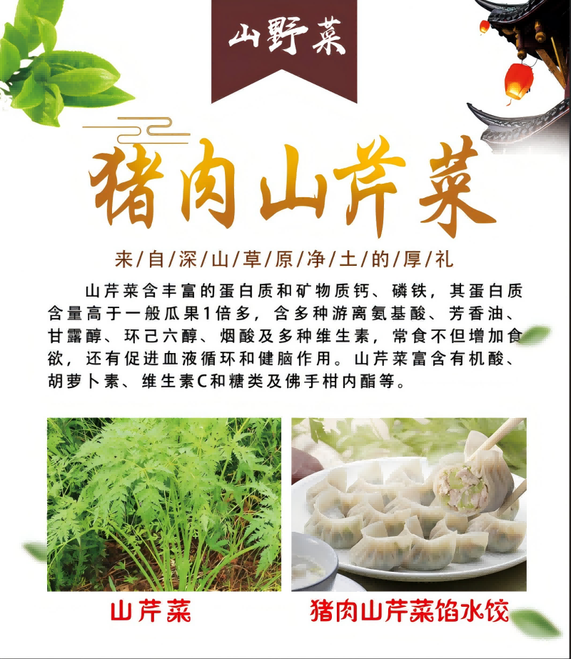 京蒙印象猪肉山芹菜速冻水饺400克/袋高清大图