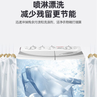 荣事达(Royalstar) 10公斤 双缸洗衣机 半自动双桶洗衣机家用大容量带甩干双缸洗衣机 XPB100-976PH