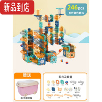 真智力儿童百变滚珠轨道弹珠男孩管道滑道积木磁力片拼装早教益智力玩具 轨道拼装[送收纳箱+246颗]