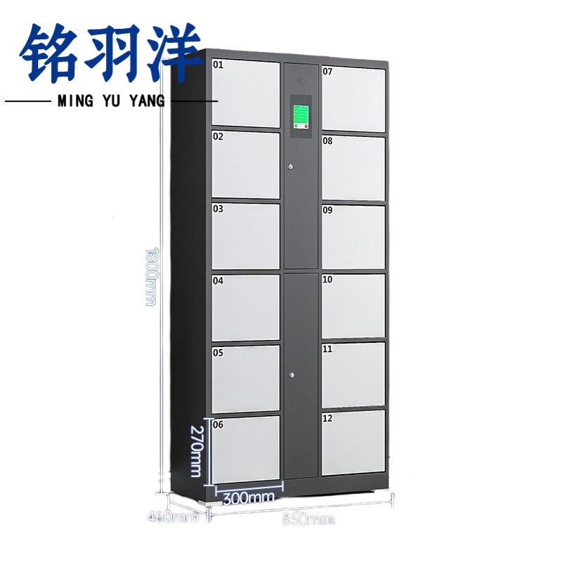 铭羽洋 存包柜12门人脸台