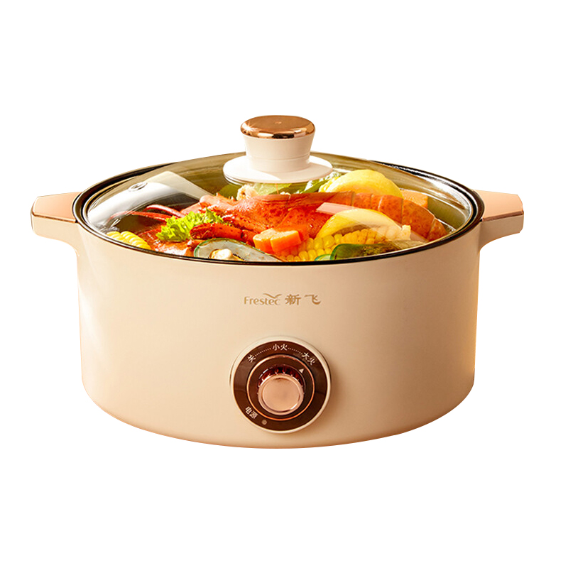 新飞 多功能电火锅FTHG-R061 3L(不带蒸笼)