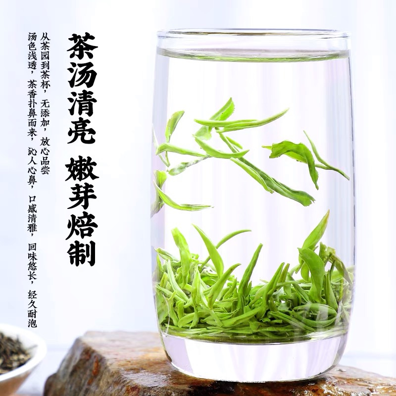发1.5斤 绿茶茶叶毛尖茶春茶正宗浓香型原产高山嫩芽茶散装750g