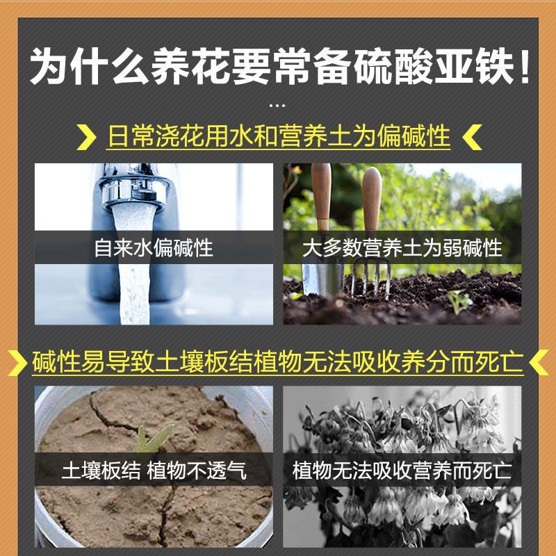 硫酸亚铁柠檬酸花肥养花栀子花杜鹃茶花茉莉黄叶喜酸植物铁肥图片
