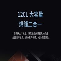 森歌(SENG) D6C集成灶家用一体机大火力储物烘干柜侧吸下排式烘储一体+保温 下进风 天然气