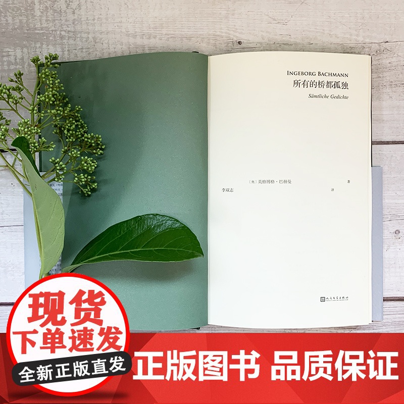 所有的桥都孤独精装版 巴别塔诗典系列奥地利国家文学奖得主德语诗歌的明珠英格博格·巴赫曼诗歌全集书籍高清大图