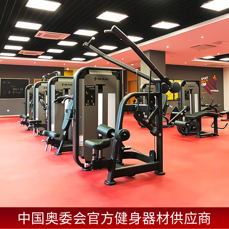舒华(SHUA)舒华健身房商用款多功能综合力量腿部训练器蝴蝶肌肉专业设备全套 SH-G6806(高拉背肌训练器)高清大图