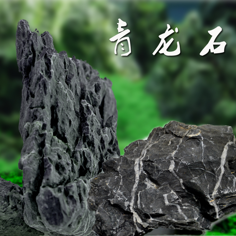 青龙石 鱼缸青龙石鱼缸造景石头装饰石头鱼缸假山石头 盆景园艺石高清大图