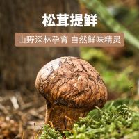 松鲜鲜松茸调味料1kg*1袋代替盐鸡精煲汤材料炒菜调料松茸粉炖汤调味品大包家庭实惠装