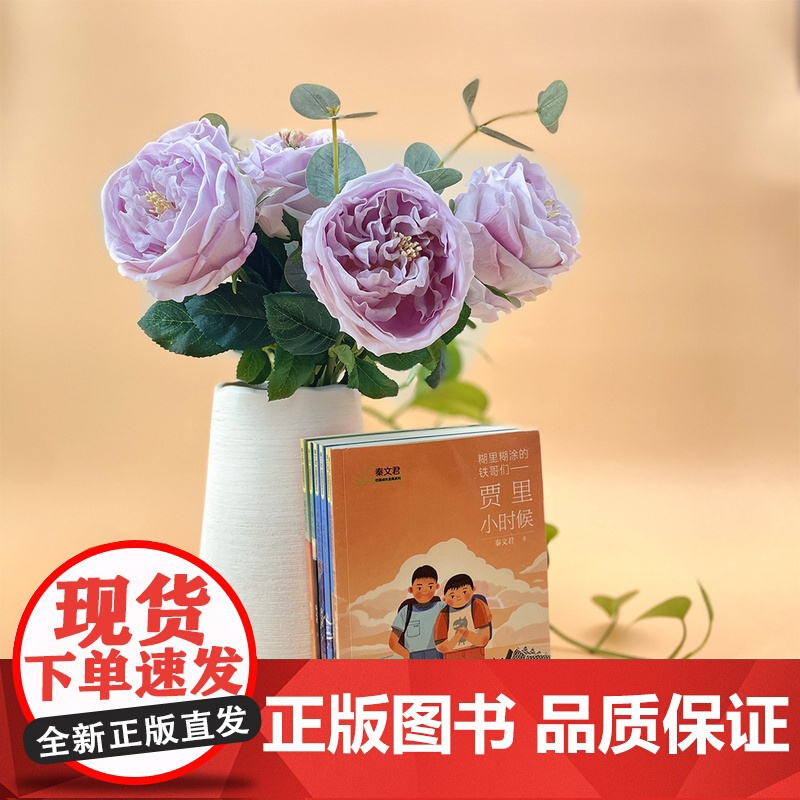 秦文君老师作品六本 秦文君著 贾里贾梅作者秦老师执笔 校园成长金典系列 适读年龄8-10岁 中小学读物 上海译文出版高清大图