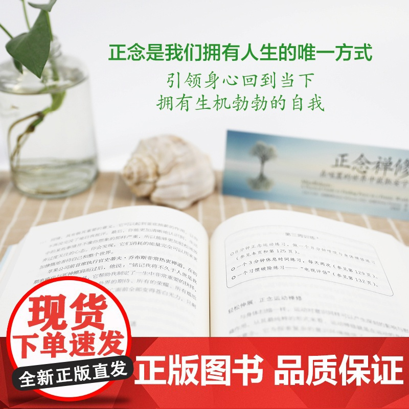 正念禅修 英 马克 威廉姆斯 美 丹尼 彭曼 在喧嚣的世界中获取安宁 正念减压疗法书籍哲学入门初学者 九州出版社书籍