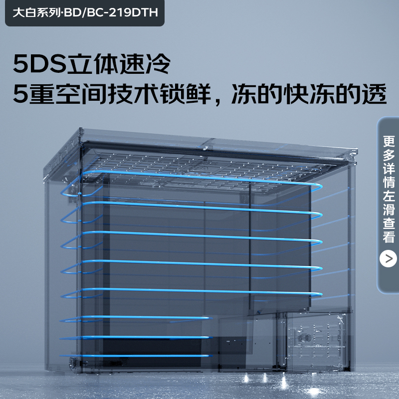 康佳(KONKA) 219升大容量冰柜家用商用冷藏冷冻转换 一级能效单温 节能冰箱 BD/BC-219DTH
