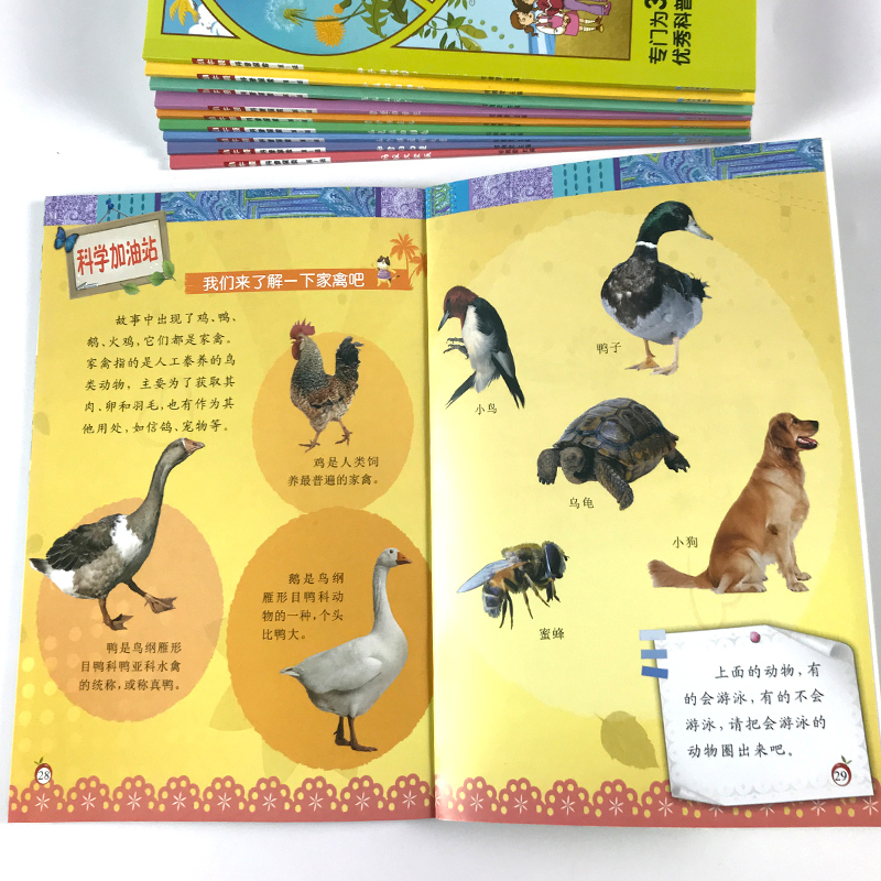 [正版图书]儿童科普绘本3到6-8岁我的物理启蒙早教书小小牛顿的第一套科普书籍幼儿园宝宝小学生神奇知识书奇妙大自然趣味百