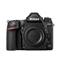 尼康(Nikon) D780(单机身不含镜头)数码单反相机 约2450万像素