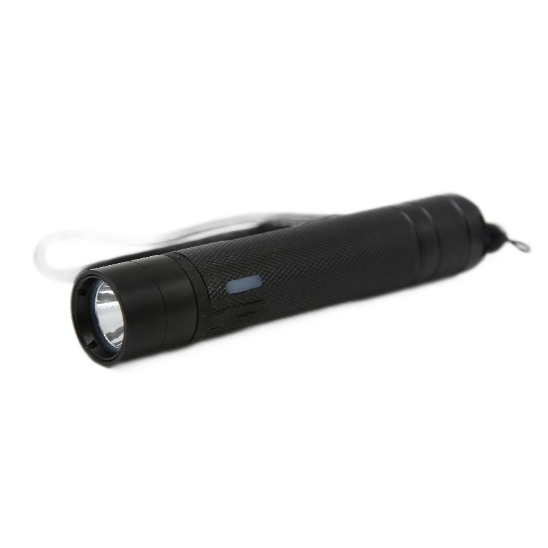 赛时工控(SHSSGK)SKSZD8-7106 微型防爆防水防尘电筒(单位:台)