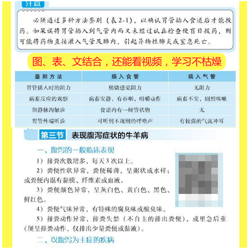 [正版]牛羊常见病诊治实用技术 视频升级版 养牛书籍大全牛病全书兽医牛饲料配方肉牛养殖技术书繁殖诊断及母牛饲养管理手册